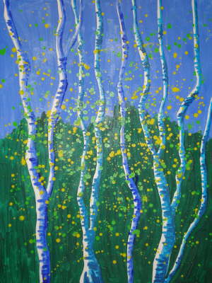 Birken im Fr�hling